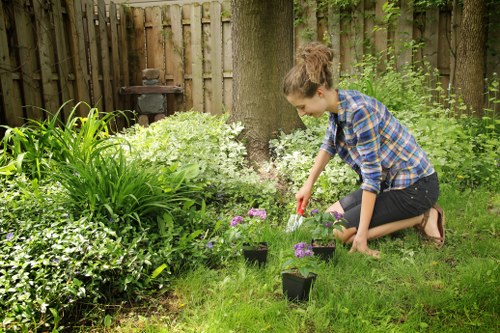 Experienced hedge trimming team enhancing an Addiscombe garden